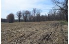 Property photo 173 - REAL ESTATE & PERSONAL PROPERTY AUCTION, 140 Acres offered in 8 Tracts or Combinations in Steuben County